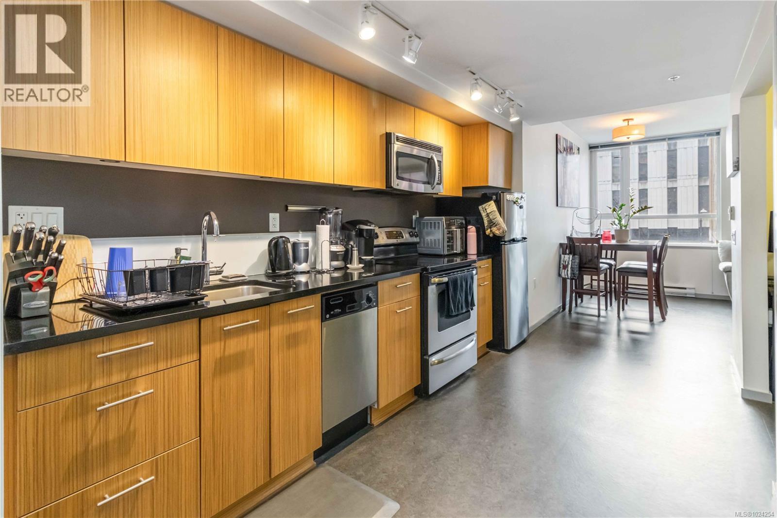 306 834 Johnson St, Victoria, British Columbia  V8W 1N3 - Photo 3 - 1024254