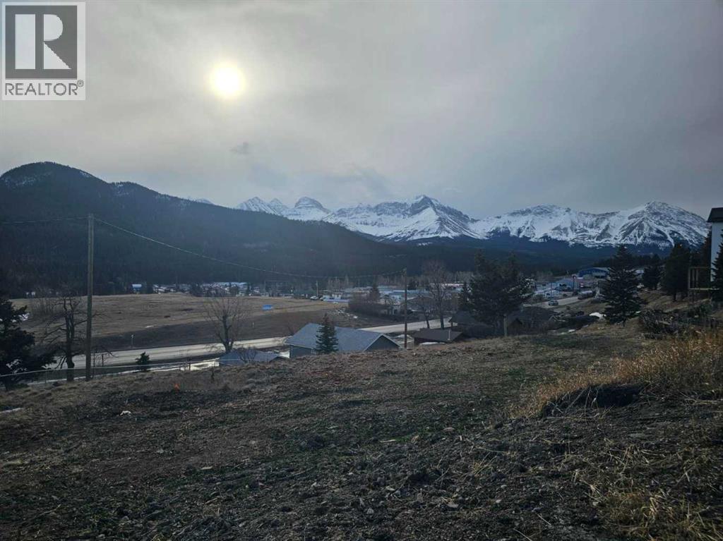 6502 22 Avenue, Coleman, Alberta  T0K 0E0 - Photo 4 - A2284555