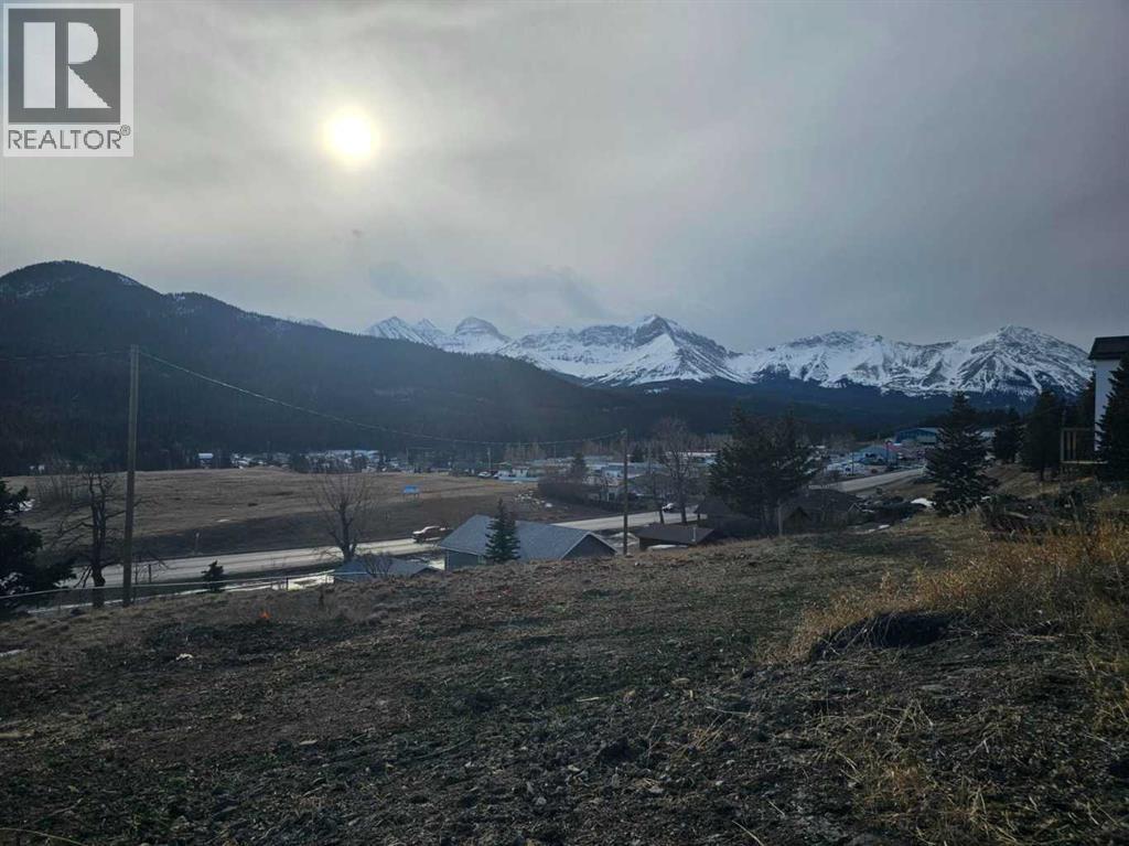 6502 22 Avenue, Coleman, Alberta  T0K 0E0 - Photo 2 - A2284555