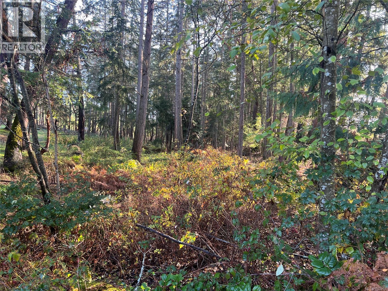 3850 Yellow Point Rd, Nanaimo, British Columbia  V9G 1E9 - Photo 38 - 1025268