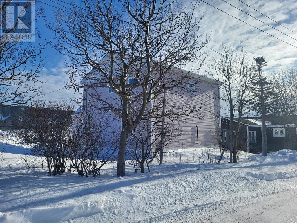 8 Dons Road, La Scie, Newfoundland & Labrador  A0K 3M0 - Photo 3 - 1294377