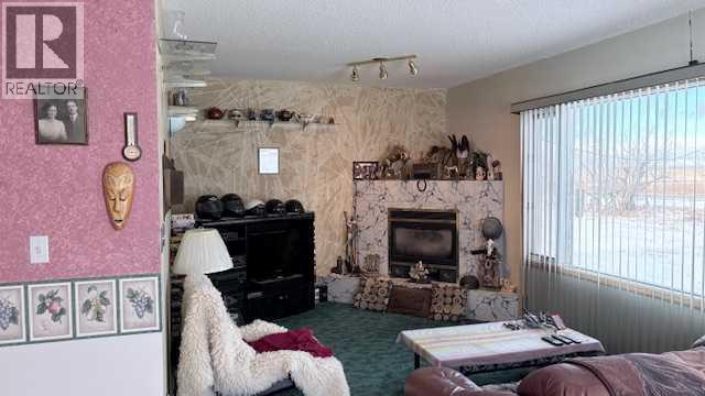 8029 Twp 102, Seven Persons, Alberta  T0K 1Z0 - Photo 6 - A2277832