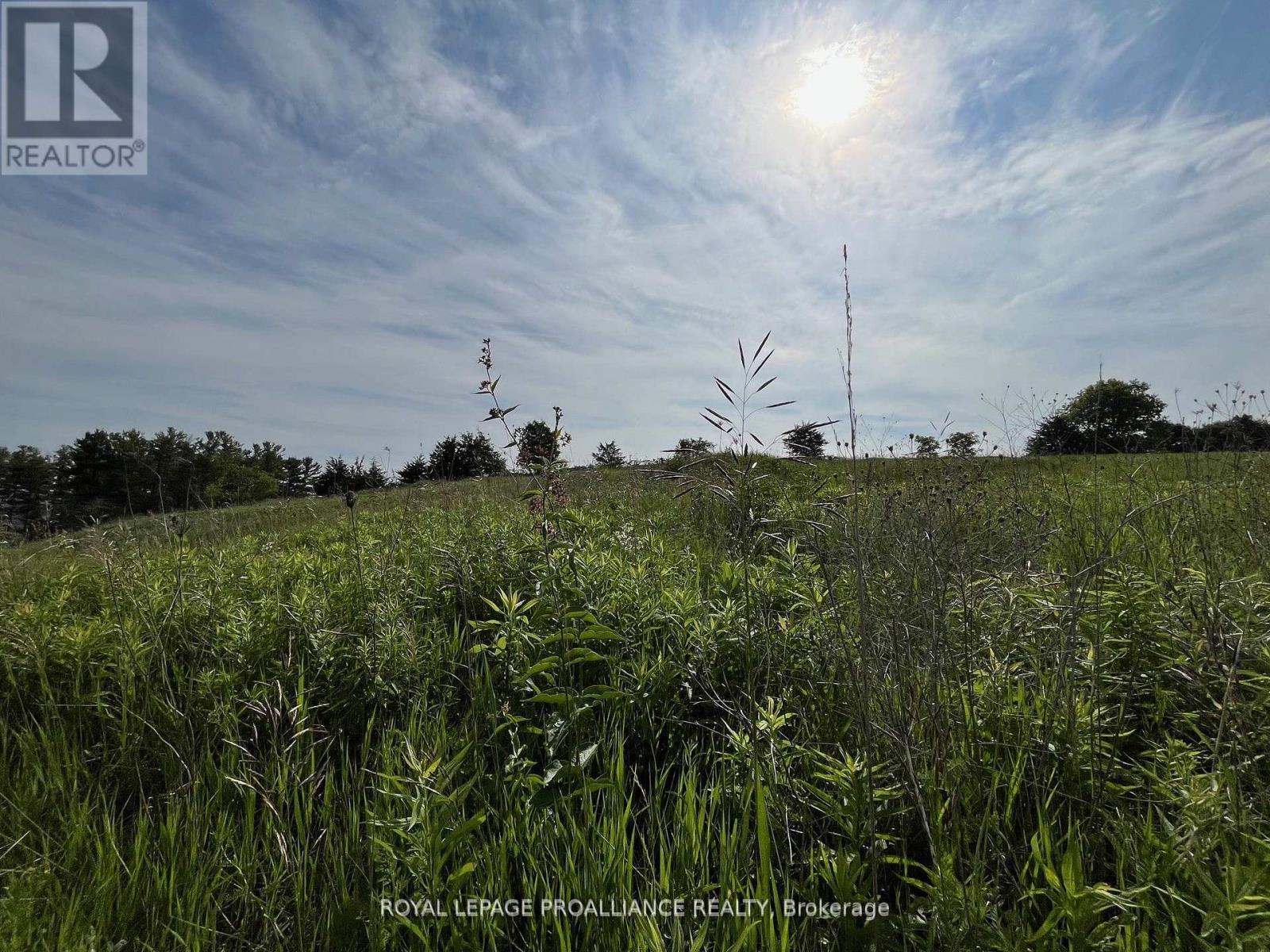 Lot 24 Mccarty Drive, Cobourg, Ontario  K9A 4J9 - Photo 5 - X12767136