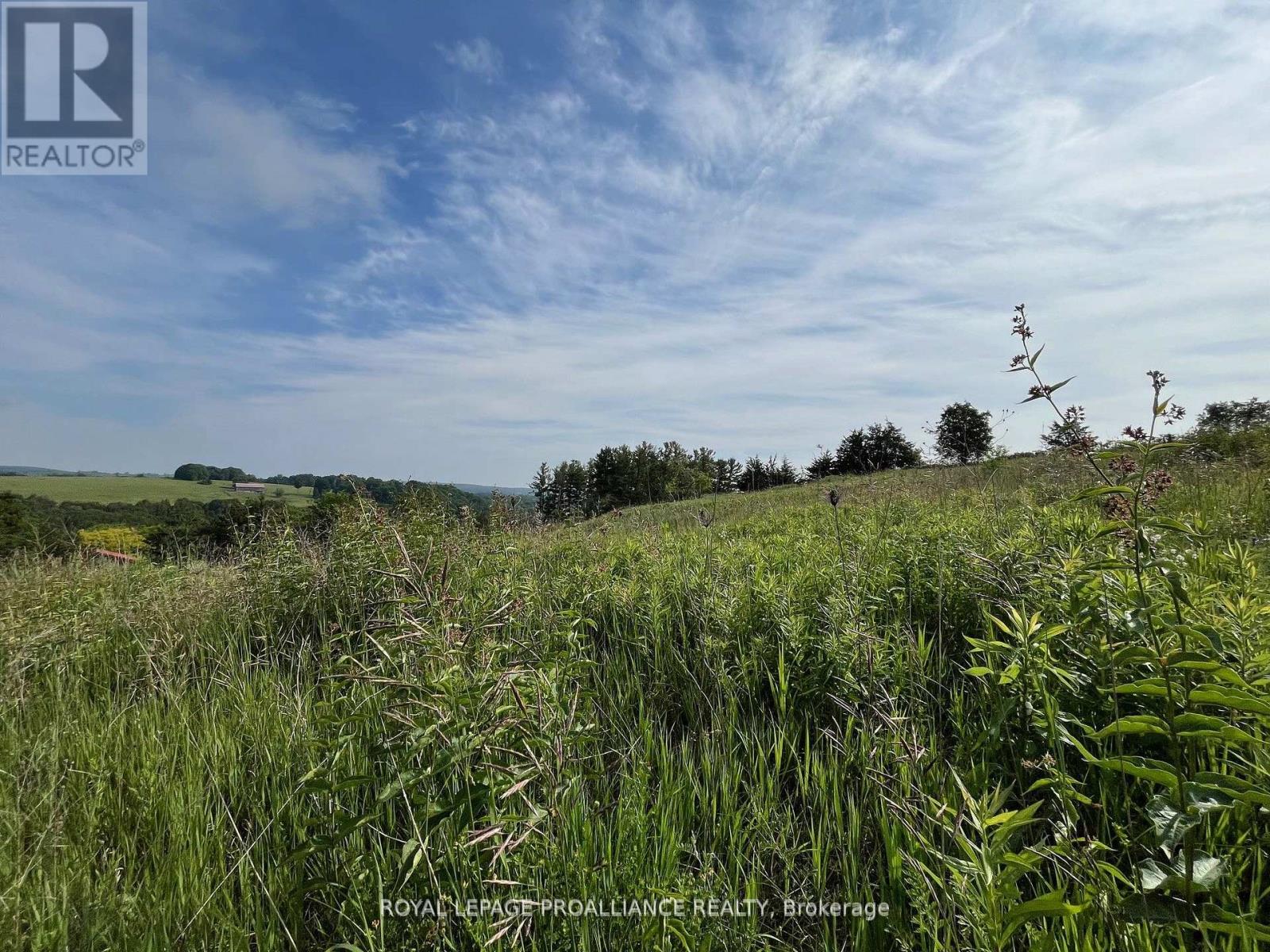 Lot 24 Mccarty Drive, Cobourg, Ontario  K9A 4J9 - Photo 7 - X12767136