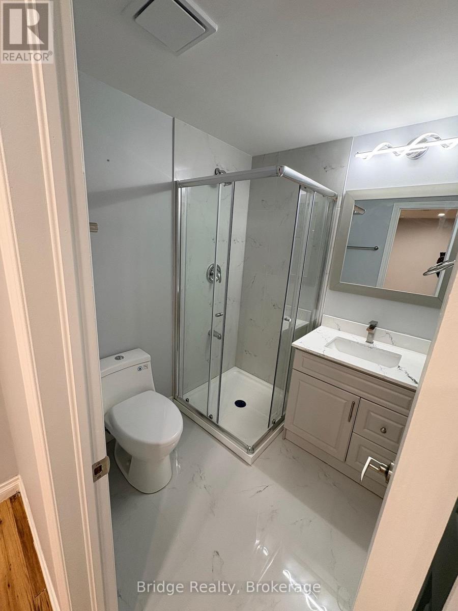 Basement - 67 Stafford Street, Woodstock, Ontario  N4S 3Z8 - Photo 7 - X12767014