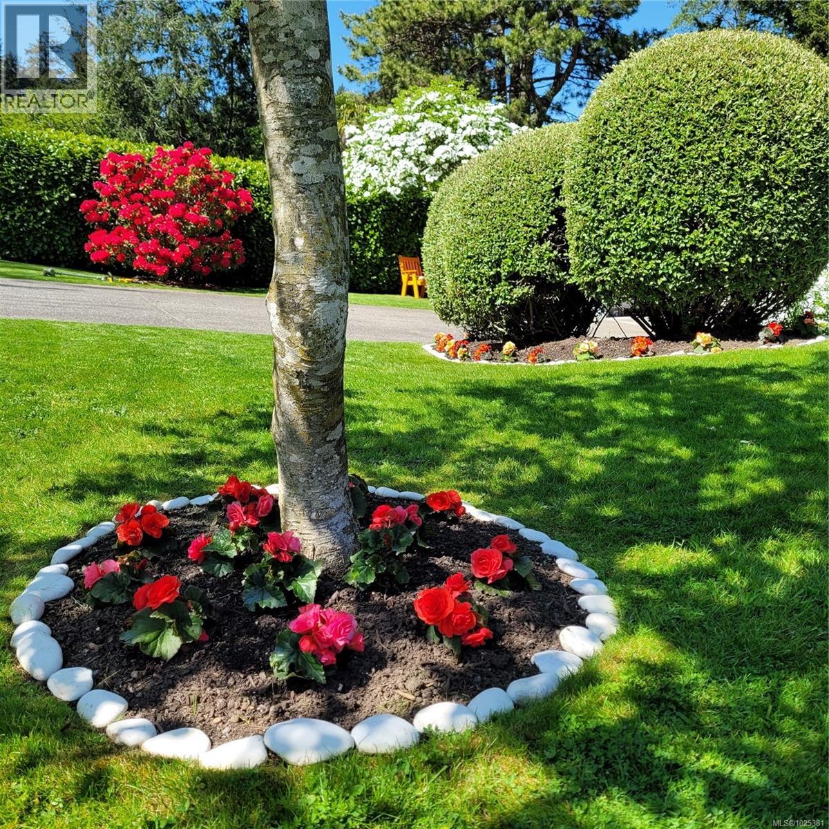 1042 Donwood Dr, Saanich, British Columbia  V8X 4G3 - Photo 7 - 1025381