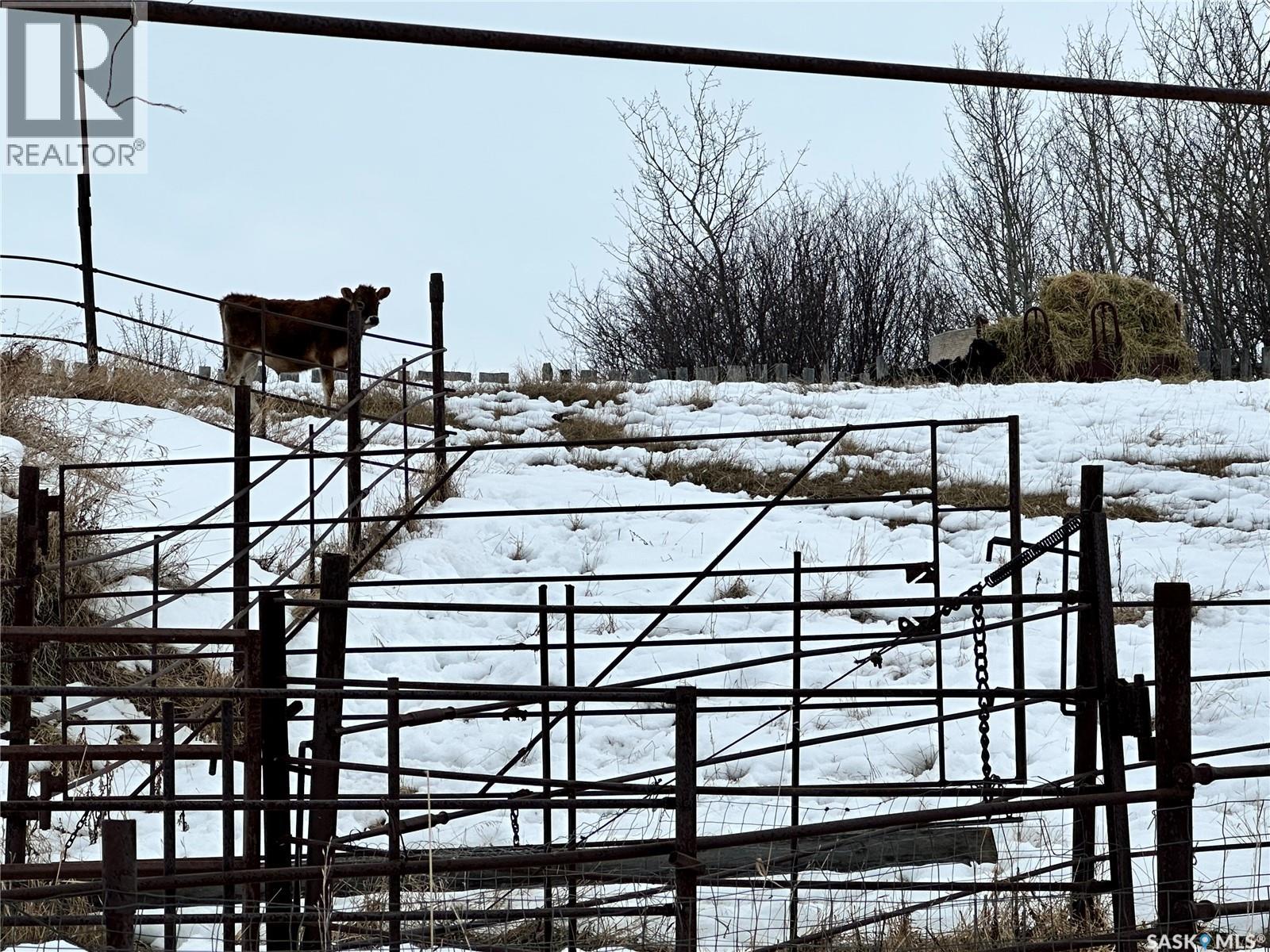 Fairholm Butcher Shop, Parkdale Rm No. 498, Saskatchewan  S0M 1J0 - Photo 32 - SK028068