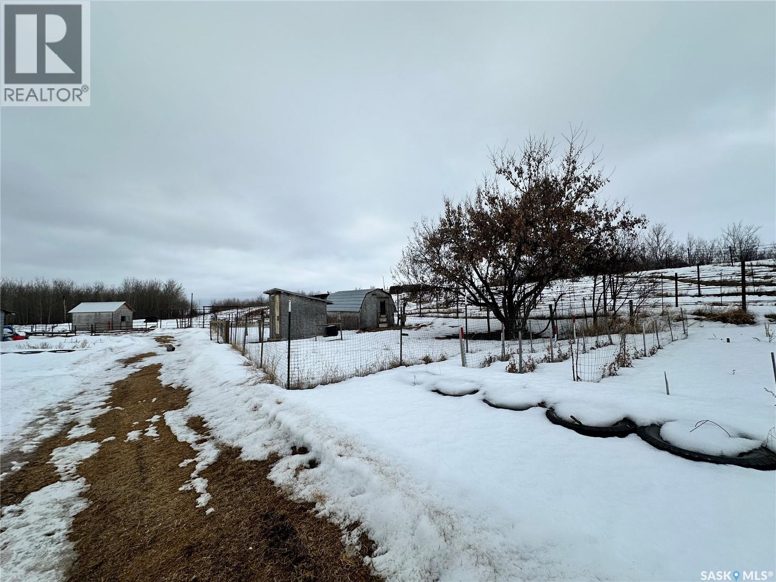 Fairholm Butcher Shop, Parkdale Rm No. 498, Saskatchewan  S0M 1J0 - Photo 33 - SK028068