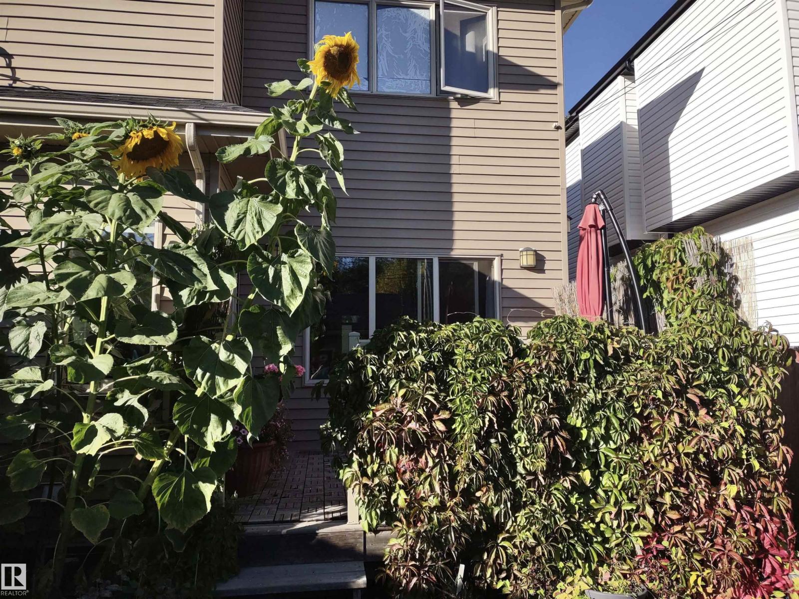 10535 67 Av Nw, Edmonton, Alberta  T5H 1Z4 - Photo 50 - E4472601