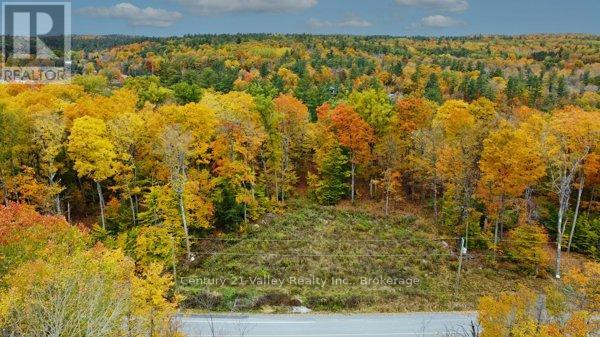 83 Shady Maple Road, Mcnab/braeside, Ontario  K0J 1G0 - Photo 7 - X12767514