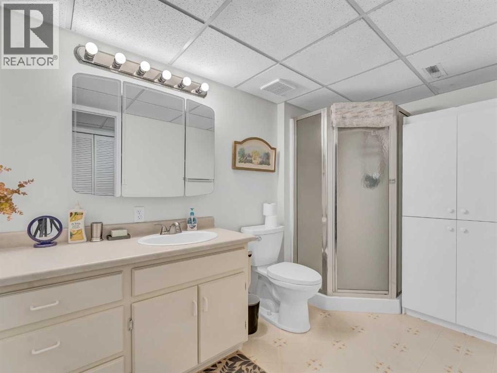 81 Park Meadows Lane Se, Medicine Hat, Alberta  T1B 4E3 - Photo 32 - A2272512