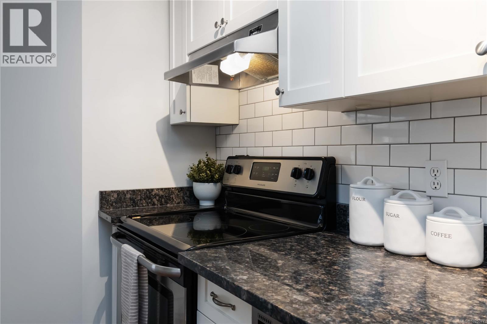 101 2710 Grosvenor Rd, Victoria, British Columbia  V8T 3M9 - Photo 6 - 1025377