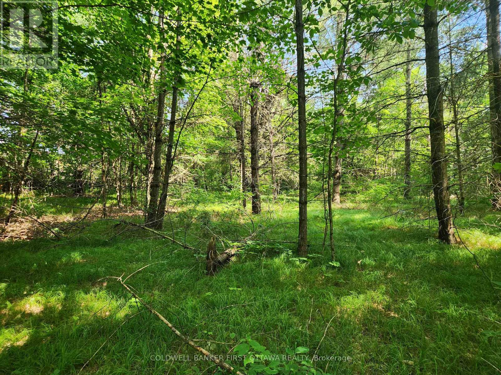 115 Doran Road, Tay Valley, Ontario  K7H 3C7 - Photo 17 - X12761716