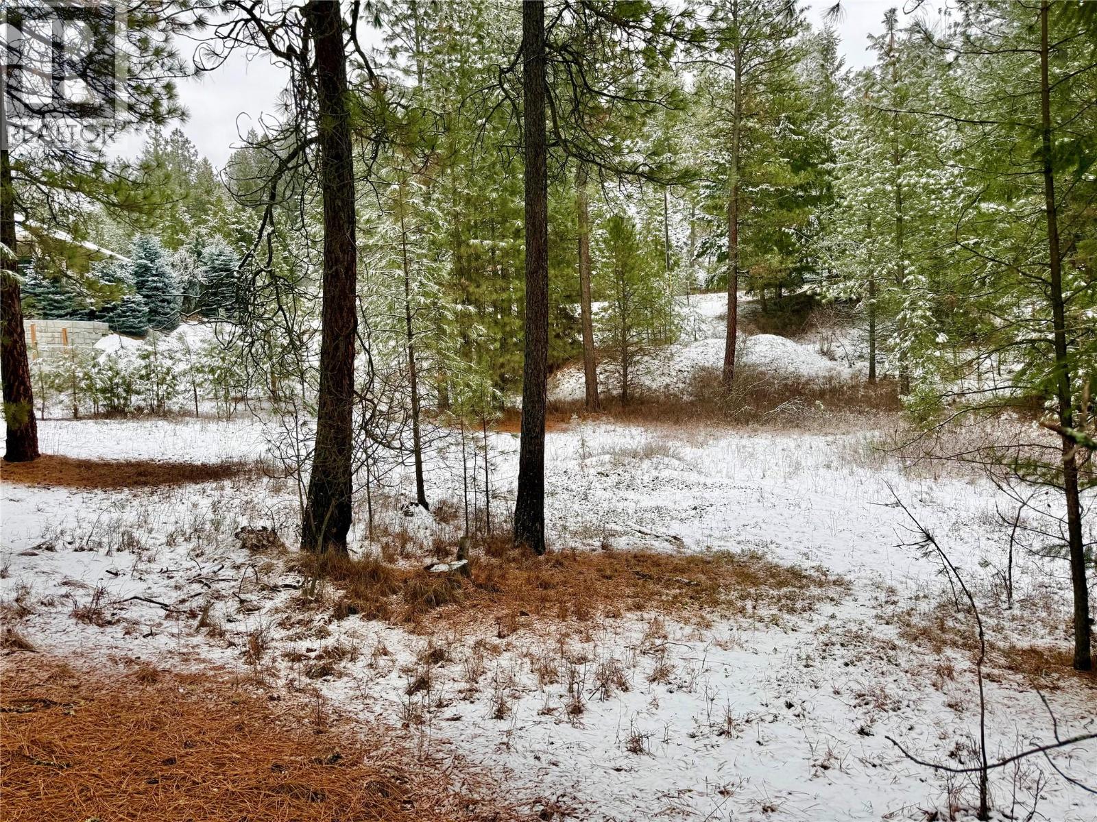 Lot 11 Prospect Drive, Grand Forks, British Columbia  V0H 1H2 - Photo 3 - 10374361