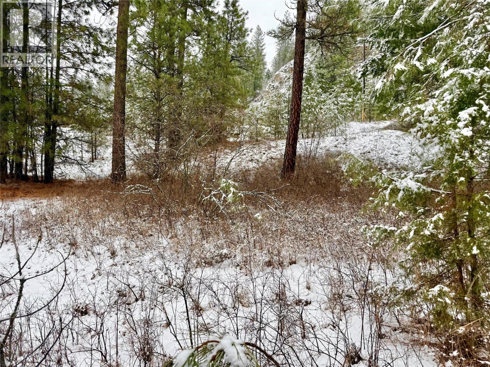 Lot 11 Prospect Drive, Grand Forks, British Columbia  V0H 1H2 - Photo 8 - 10374361