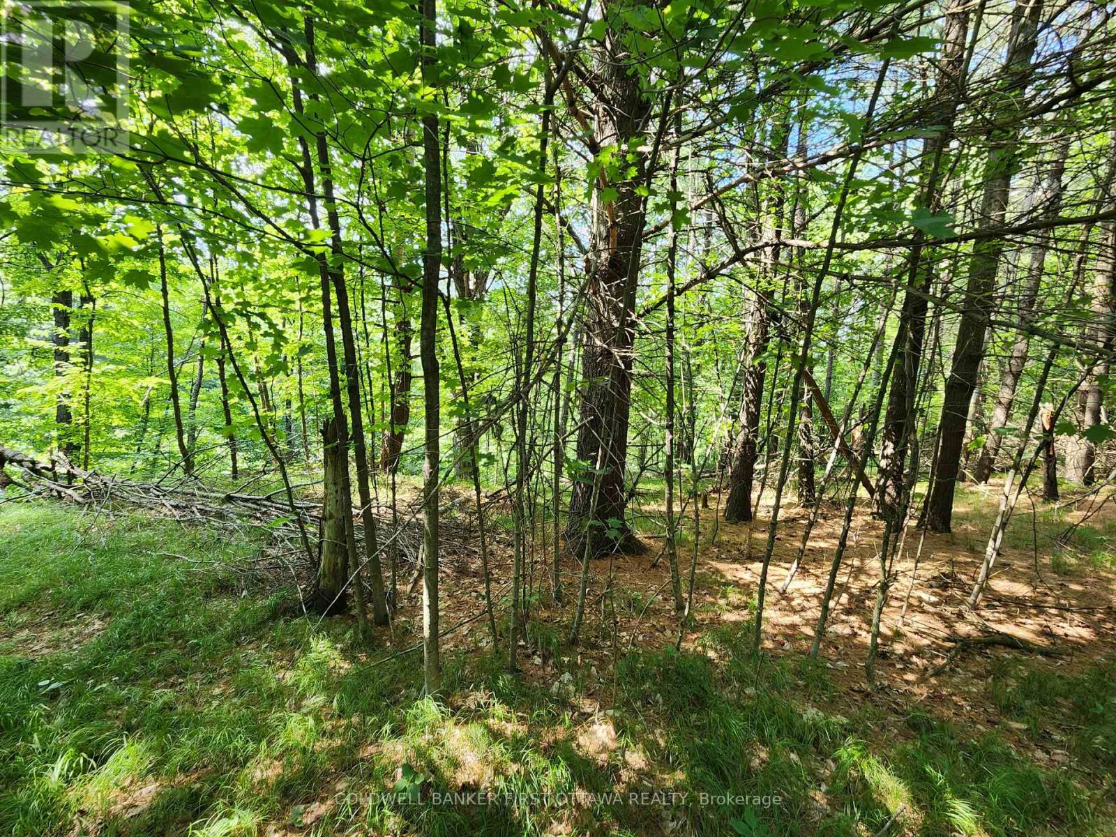 115 Doran Road, Tay Valley, Ontario  K7H 3C7 - Photo 13 - X12761716