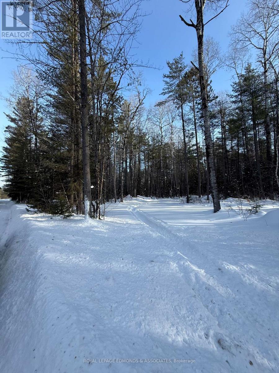 0000 Nangor Trail, Whitewater Region, Ontario  K0J 2L0 - Photo 17 - X12612258