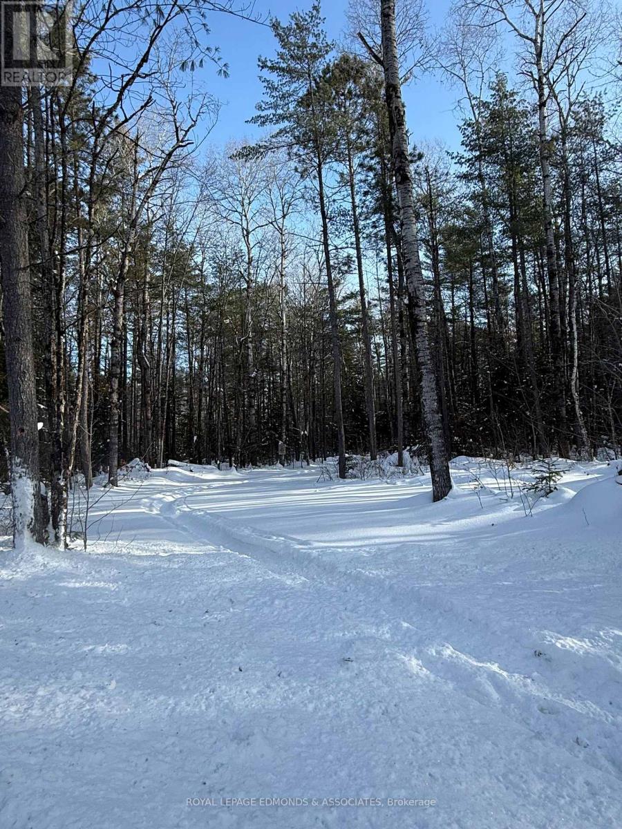0000 Nangor Trail, Whitewater Region, Ontario  K0J 2L0 - Photo 15 - X12612258