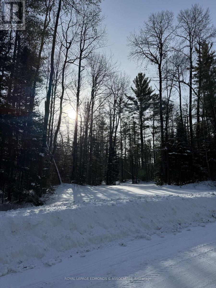 0000 Nangor Trail, Whitewater Region, Ontario  K0J 2L0 - Photo 22 - X12612258