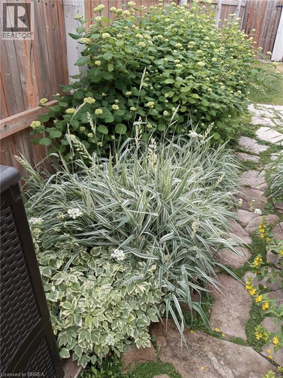 4 Maple Crescent, Paris, Ontario  N3L 3R4 - Photo 27 - 40798993