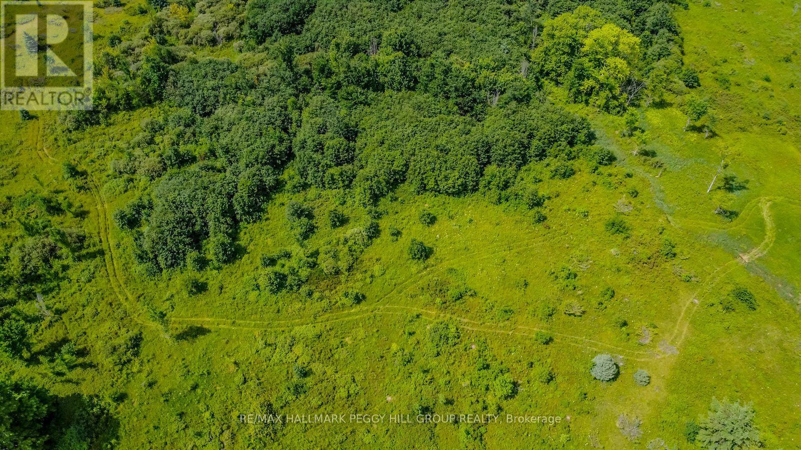 Lot 5 Concession 5, Kawartha Lakes, Ontario  K0M 2B0 - Photo 3 - X12761068