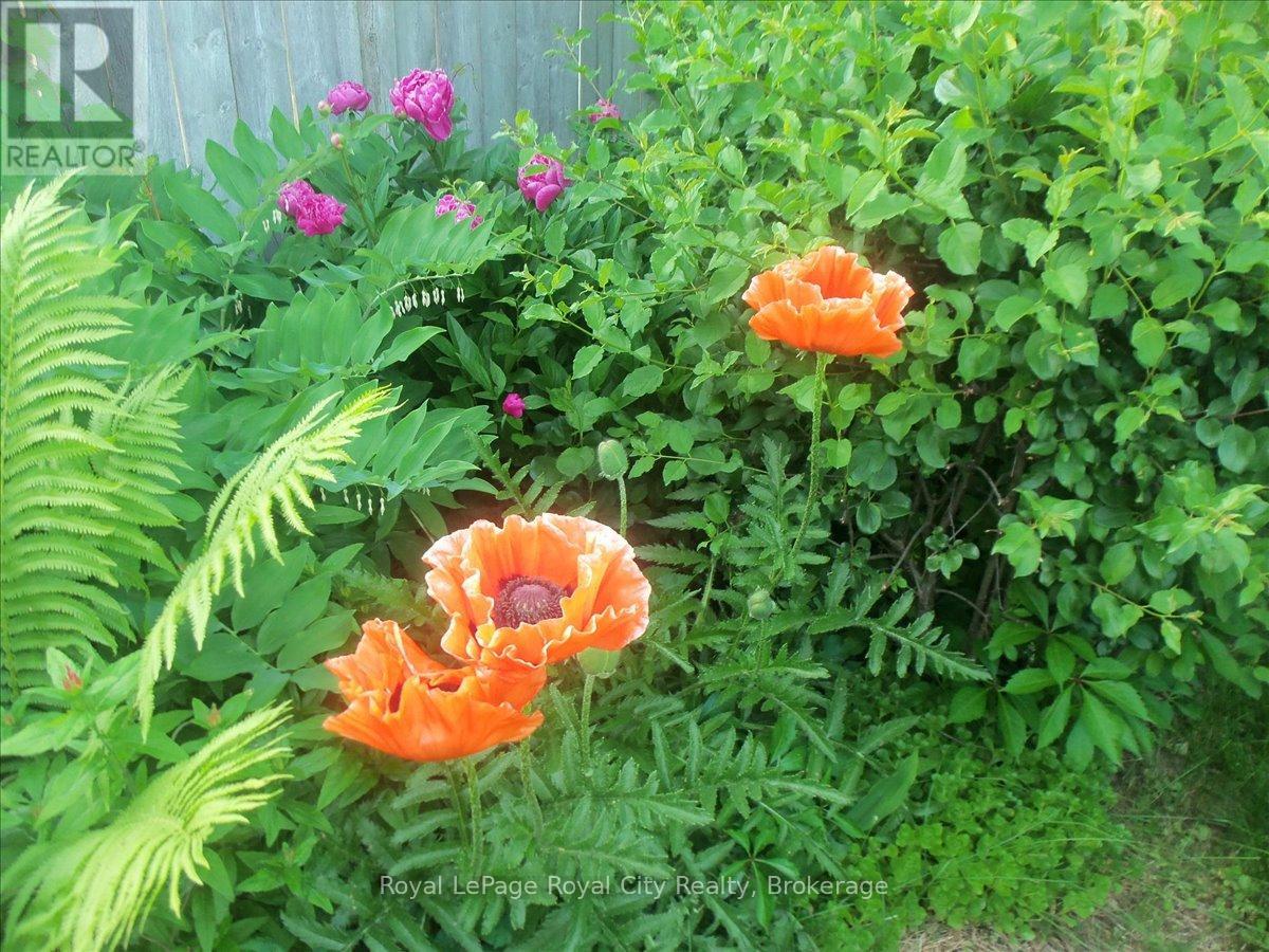 15 Inverness Drive, Guelph (Riverside Park), Ontario  N1E 3L7 - Photo 34 - X12747460