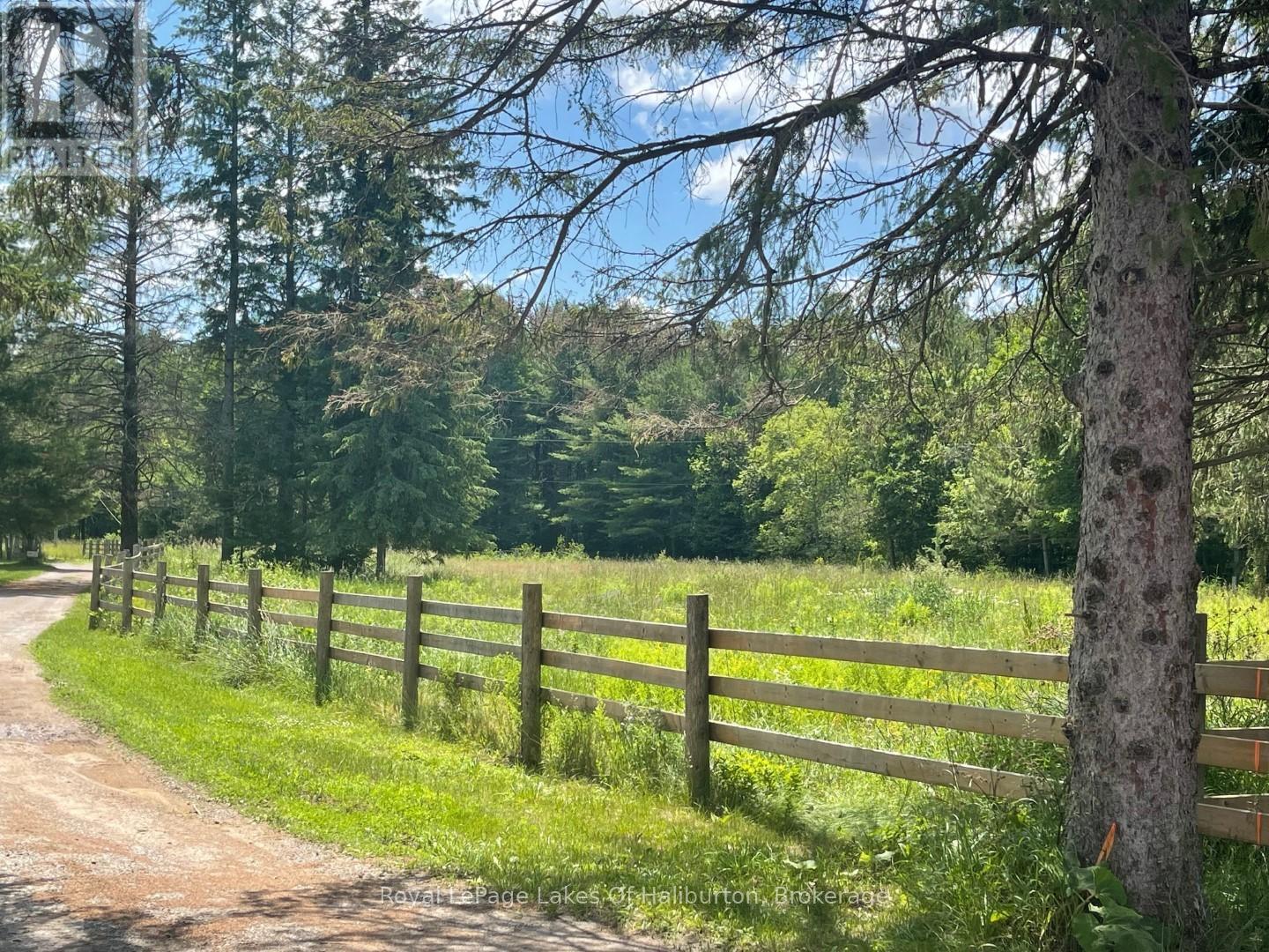 1036 Privet Drive, Minden Hills (Snowdon), Ontario  K0M 2A1 - Photo 12 - X12761172