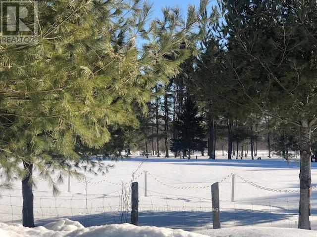 1036 Privet Drive, Minden Hills (Snowdon), Ontario  K0M 2A1 - Photo 2 - X12761172