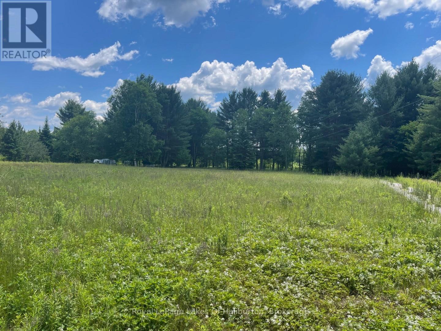 1036 Privet Drive, Minden Hills (Snowdon), Ontario  K0M 2A1 - Photo 16 - X12761172