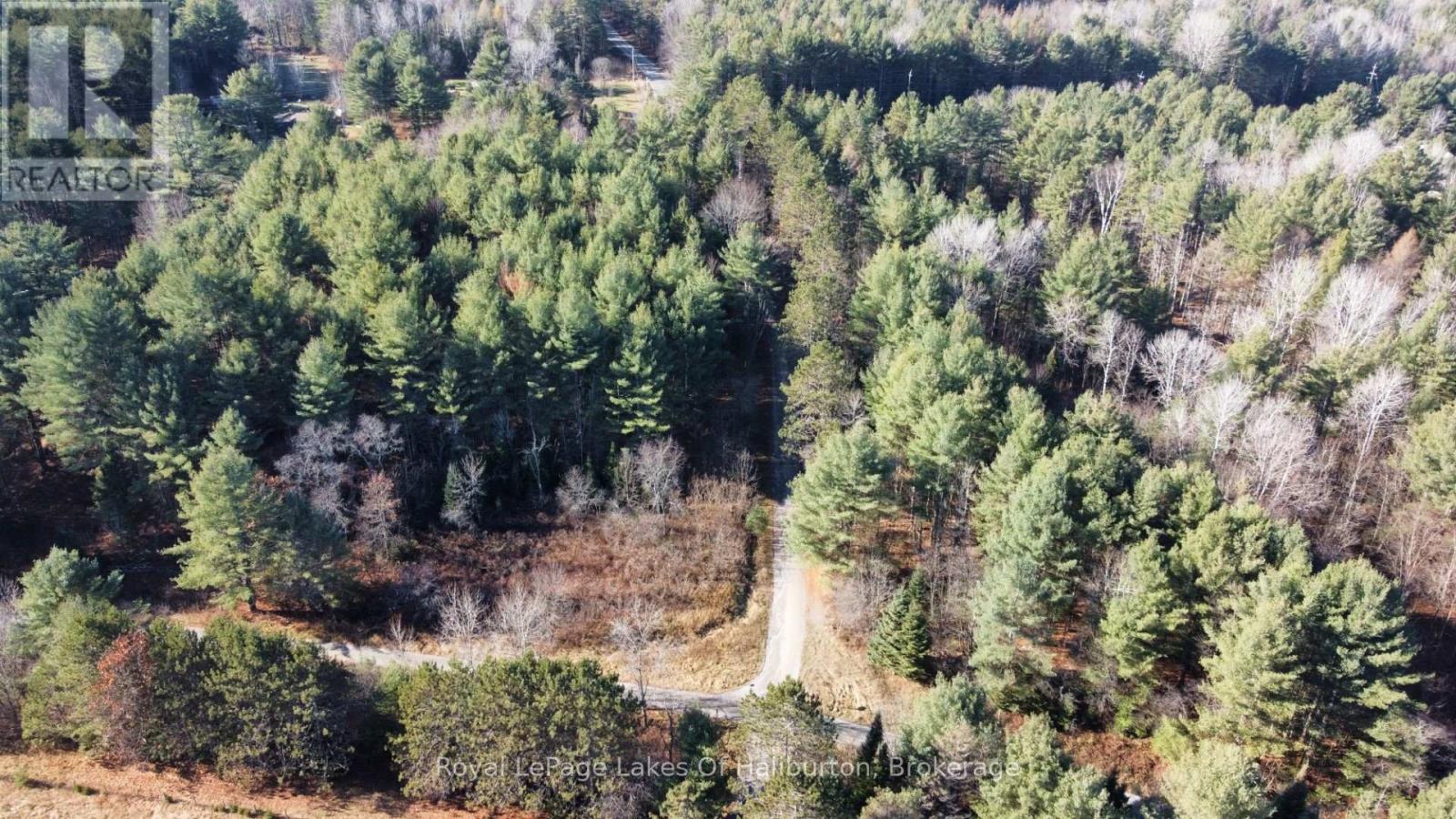 1036 Privet Drive, Minden Hills (Snowdon), Ontario  K0M 2A1 - Photo 32 - X12761172