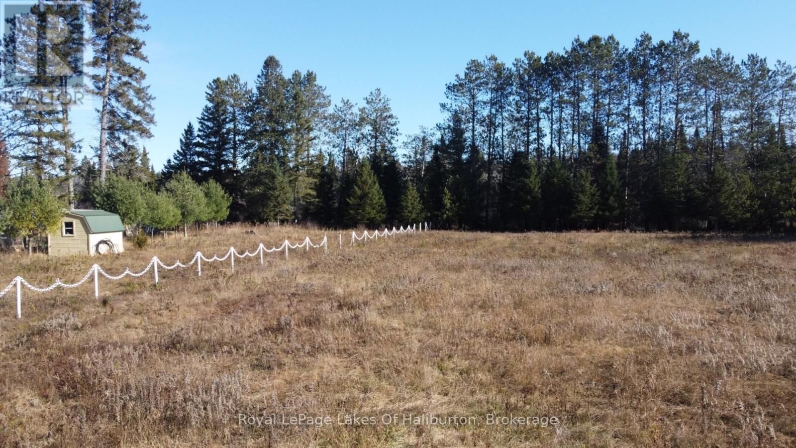 1036 Privet Drive, Minden Hills (Snowdon), Ontario  K0M 2A1 - Photo 21 - X12761172