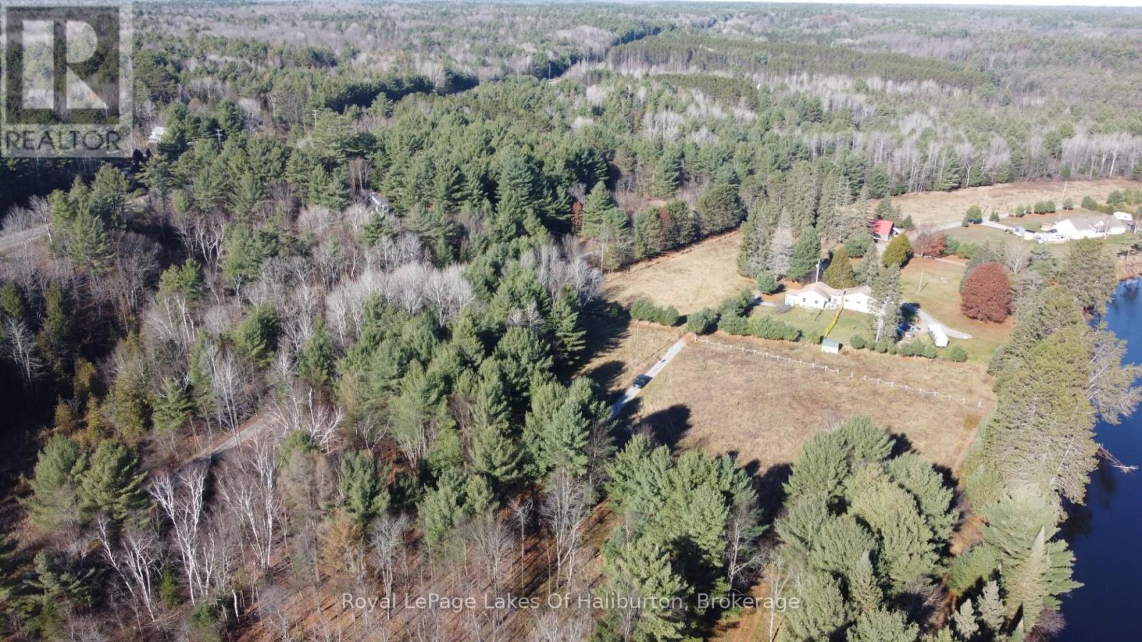 1036 Privet Drive, Minden Hills (Snowdon), Ontario  K0M 2A1 - Photo 13 - X12761172