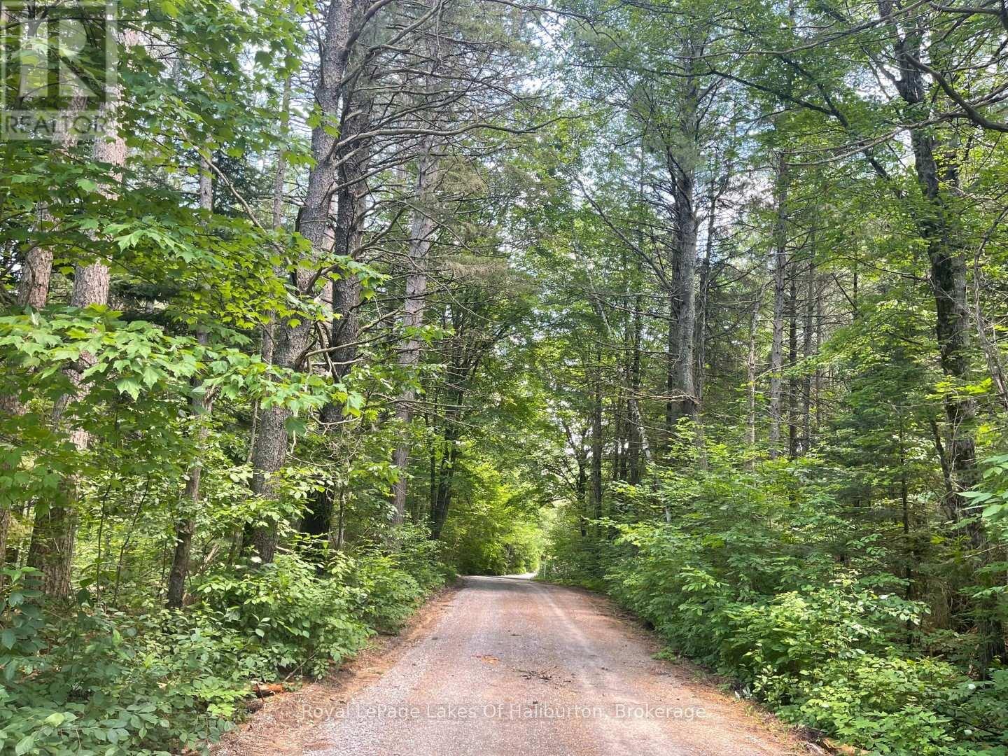 1036 Privet Drive, Minden Hills (Snowdon), Ontario  K0M 2A1 - Photo 9 - X12761172