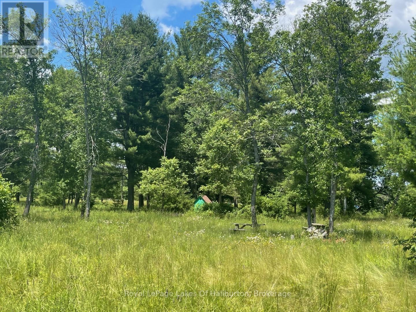 1036 Privet Drive, Minden Hills (Snowdon), Ontario  K0M 2A1 - Photo 17 - X12761172