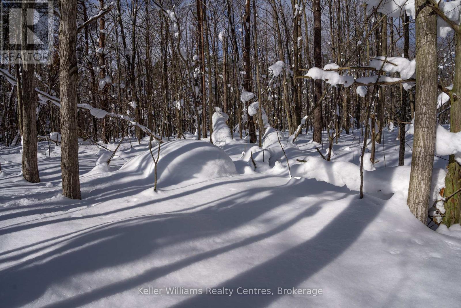 Lot 16 Grey Road 17, Georgian Bluffs, Ontario  N0H 2T0 - Photo 9 - X12763134
