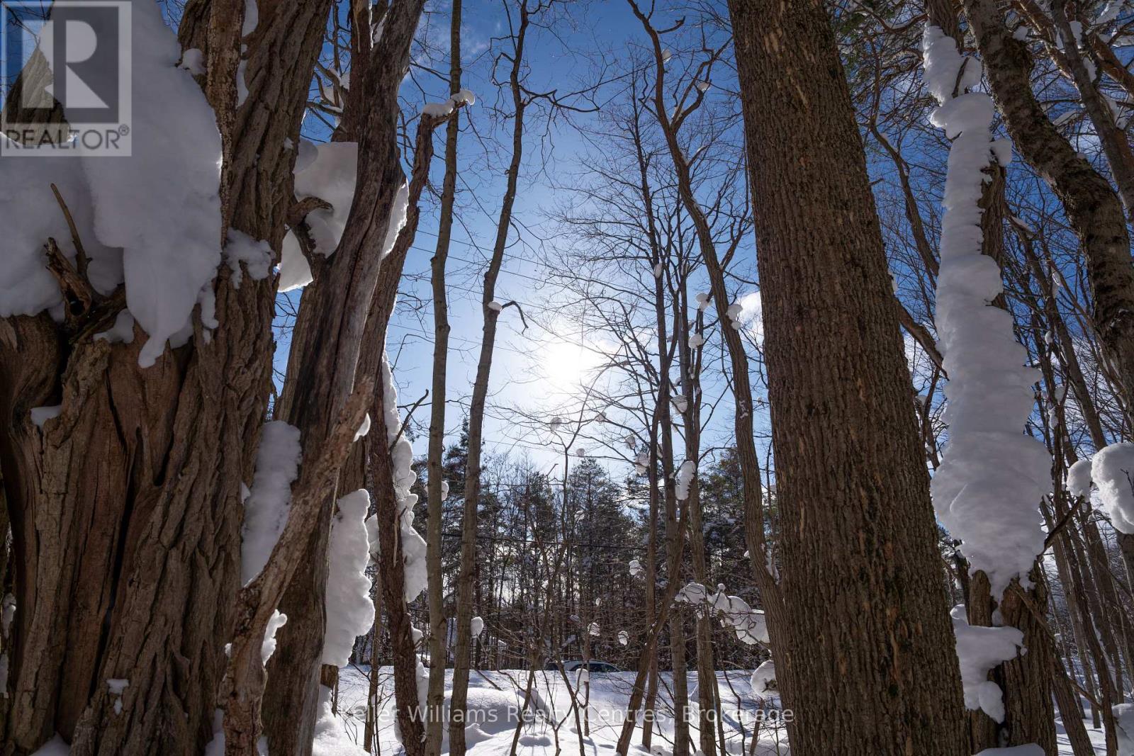 Lot 16 Grey Road 17, Georgian Bluffs, Ontario  N0H 2T0 - Photo 13 - X12763134