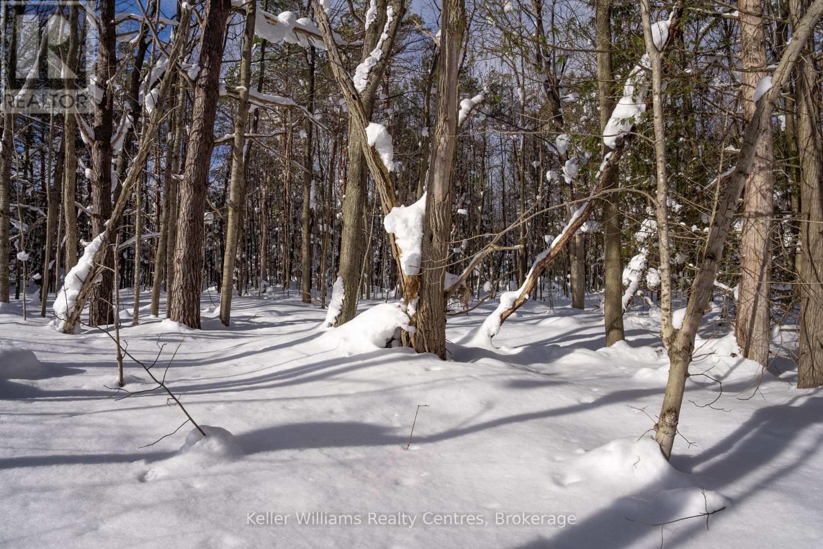 Lot 16 Grey Road 17, Georgian Bluffs, Ontario  N0H 2T0 - Photo 20 - X12763134