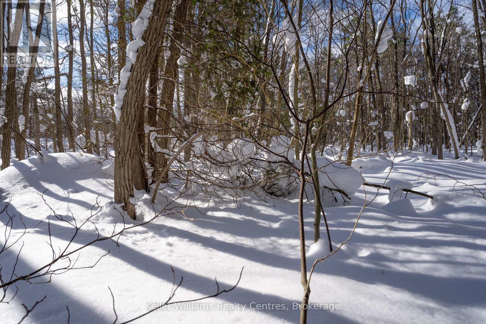 Lot 16 Grey Road 17, Georgian Bluffs, Ontario  N0H 2T0 - Photo 14 - X12763134