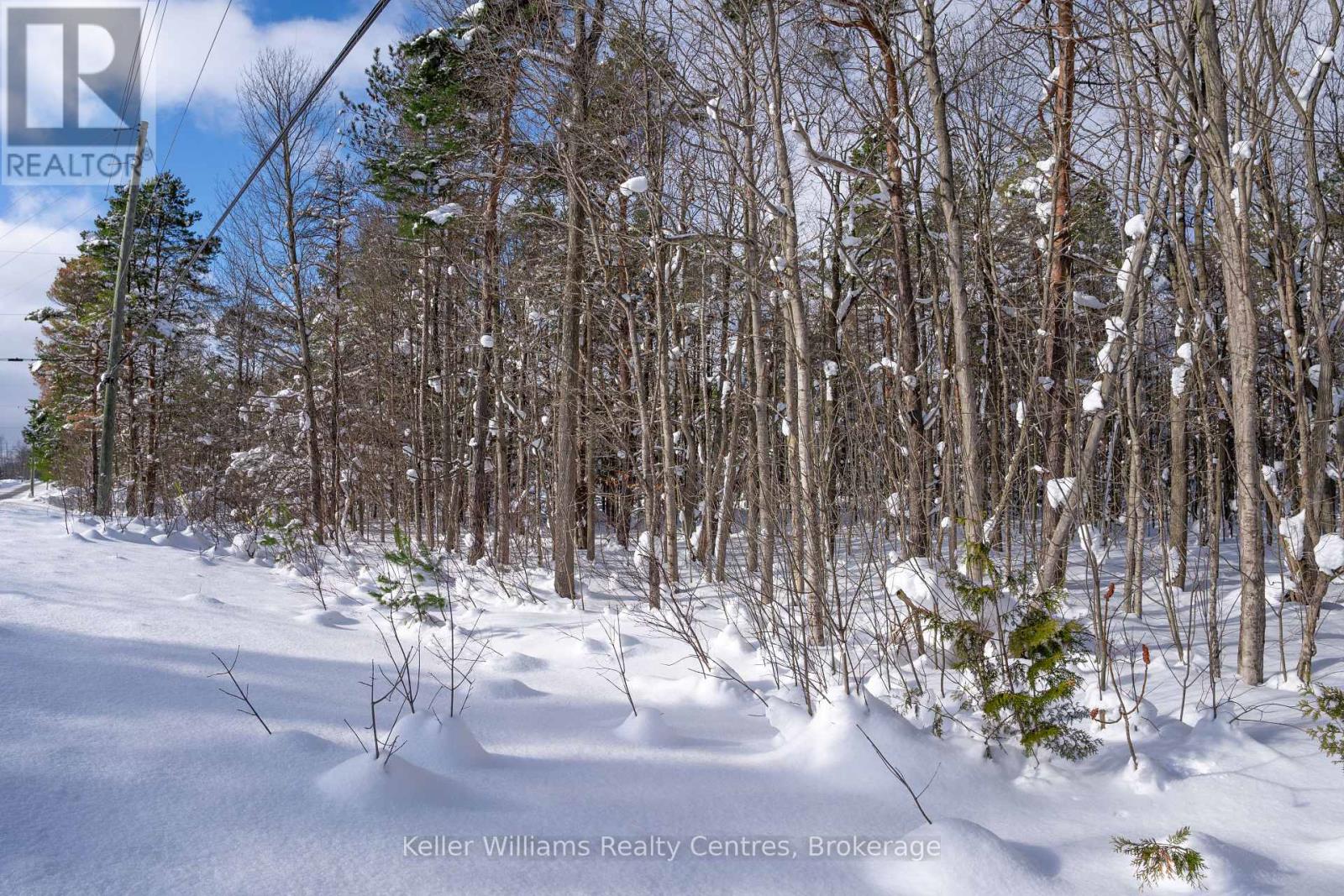 Lot 16 Grey Road 17, Georgian Bluffs, Ontario  N0H 2T0 - Photo 24 - X12763134