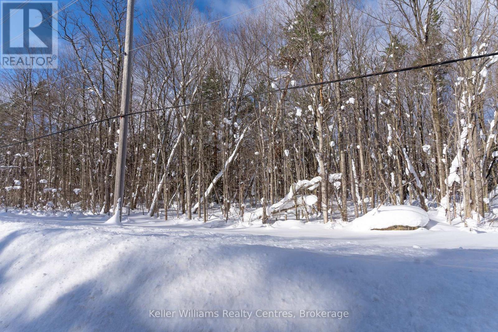 Lot 16 Grey Road 17, Georgian Bluffs, Ontario  N0H 2T0 - Photo 25 - X12763134