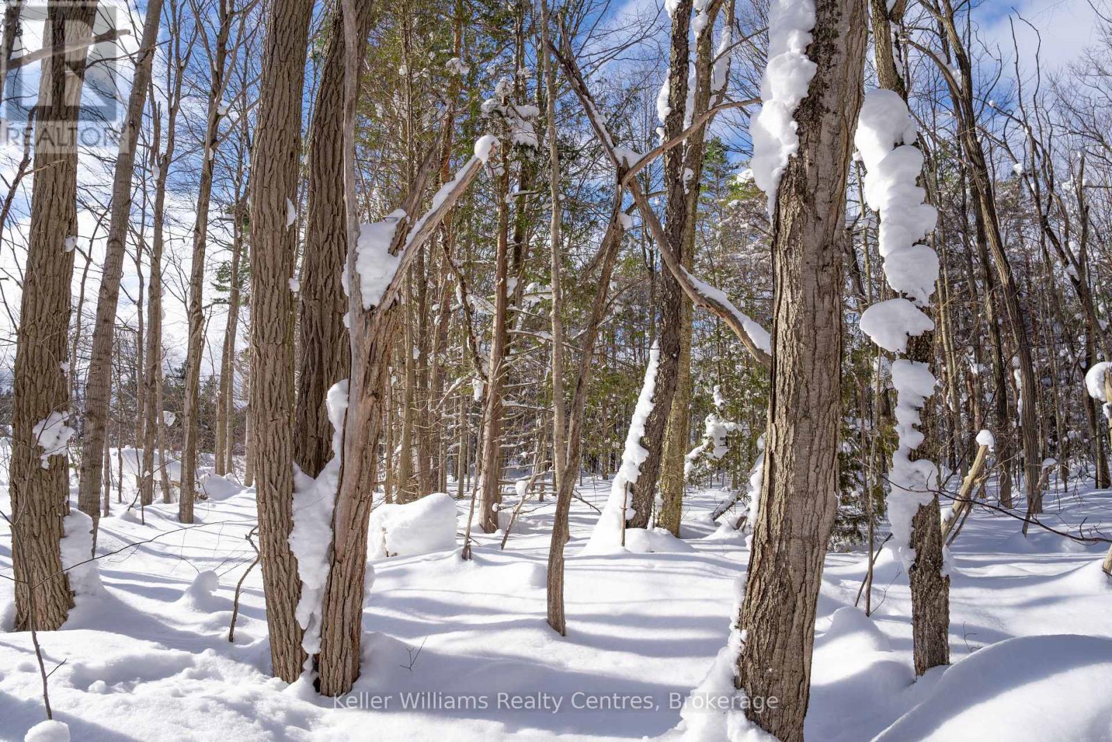 Lot 16 Grey Road 17, Georgian Bluffs, Ontario  N0H 2T0 - Photo 16 - X12763134