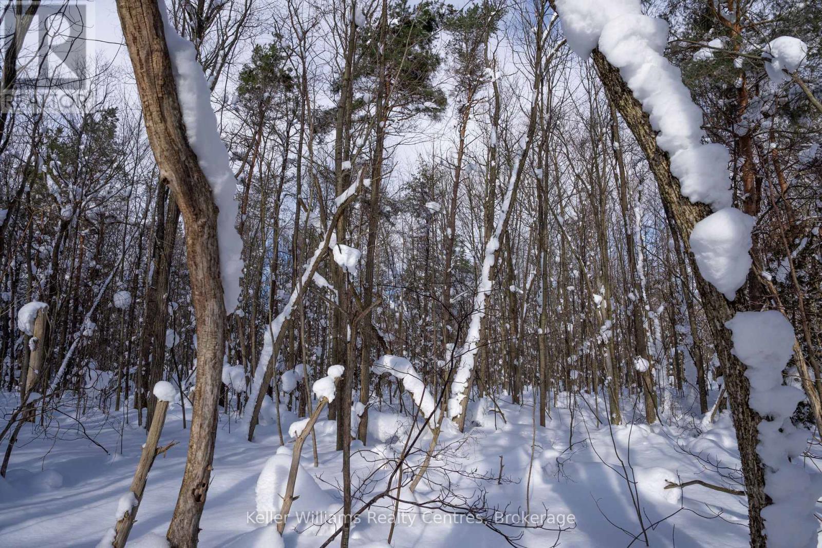 Lot 16 Grey Road 17, Georgian Bluffs, Ontario  N0H 2T0 - Photo 17 - X12763134