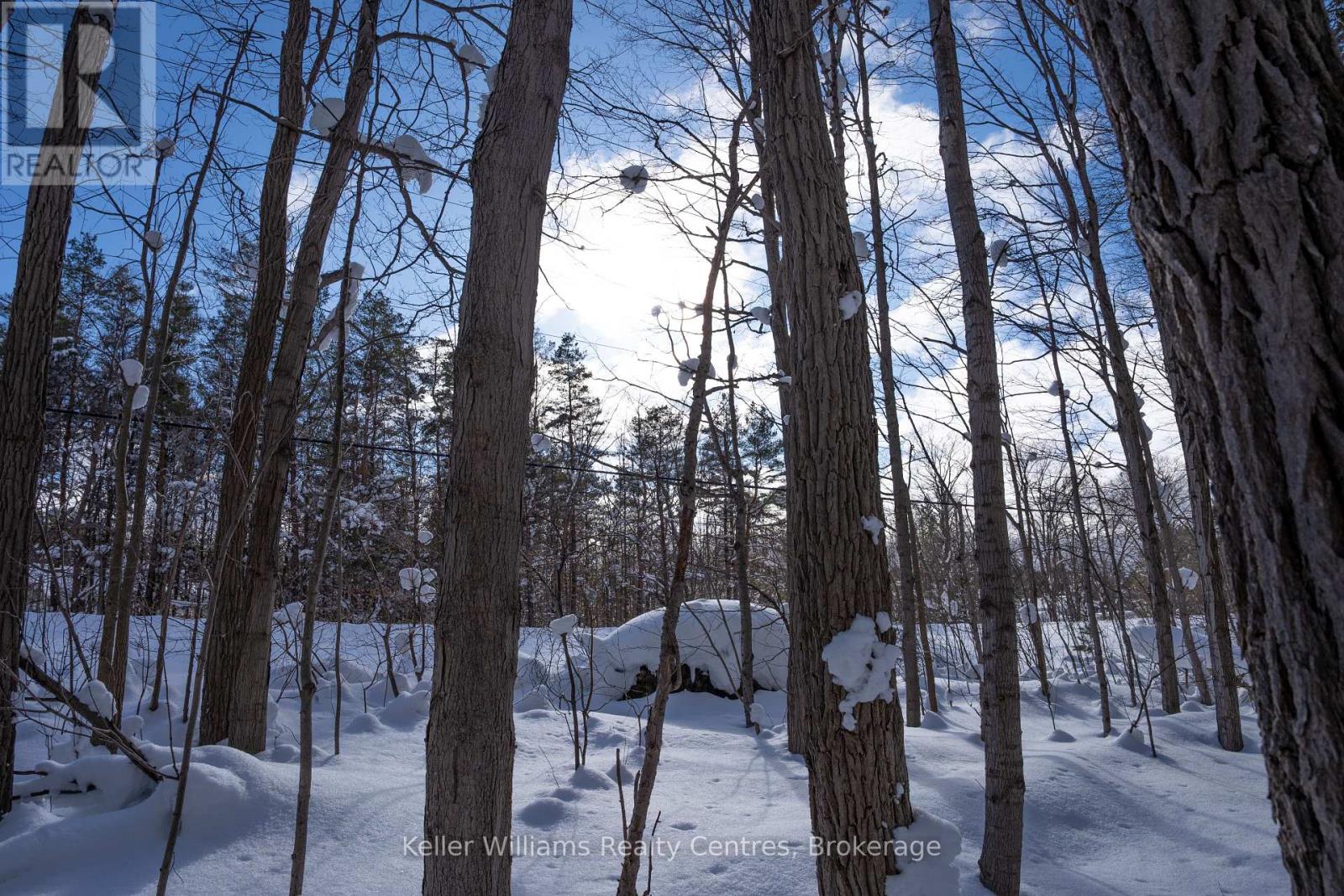 Lot 16 Grey Road 17, Georgian Bluffs, Ontario  N0H 2T0 - Photo 18 - X12763134