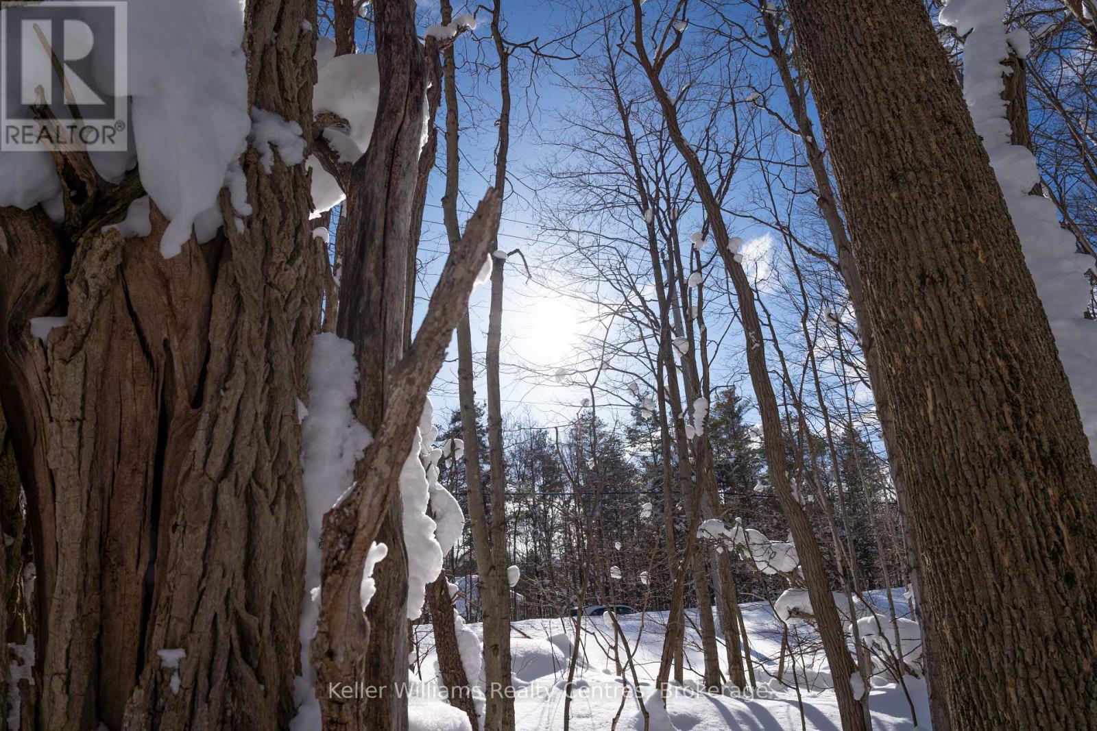 Lot 16 Grey Road 17, Georgian Bluffs, Ontario  N0H 2T0 - Photo 4 - X12763134
