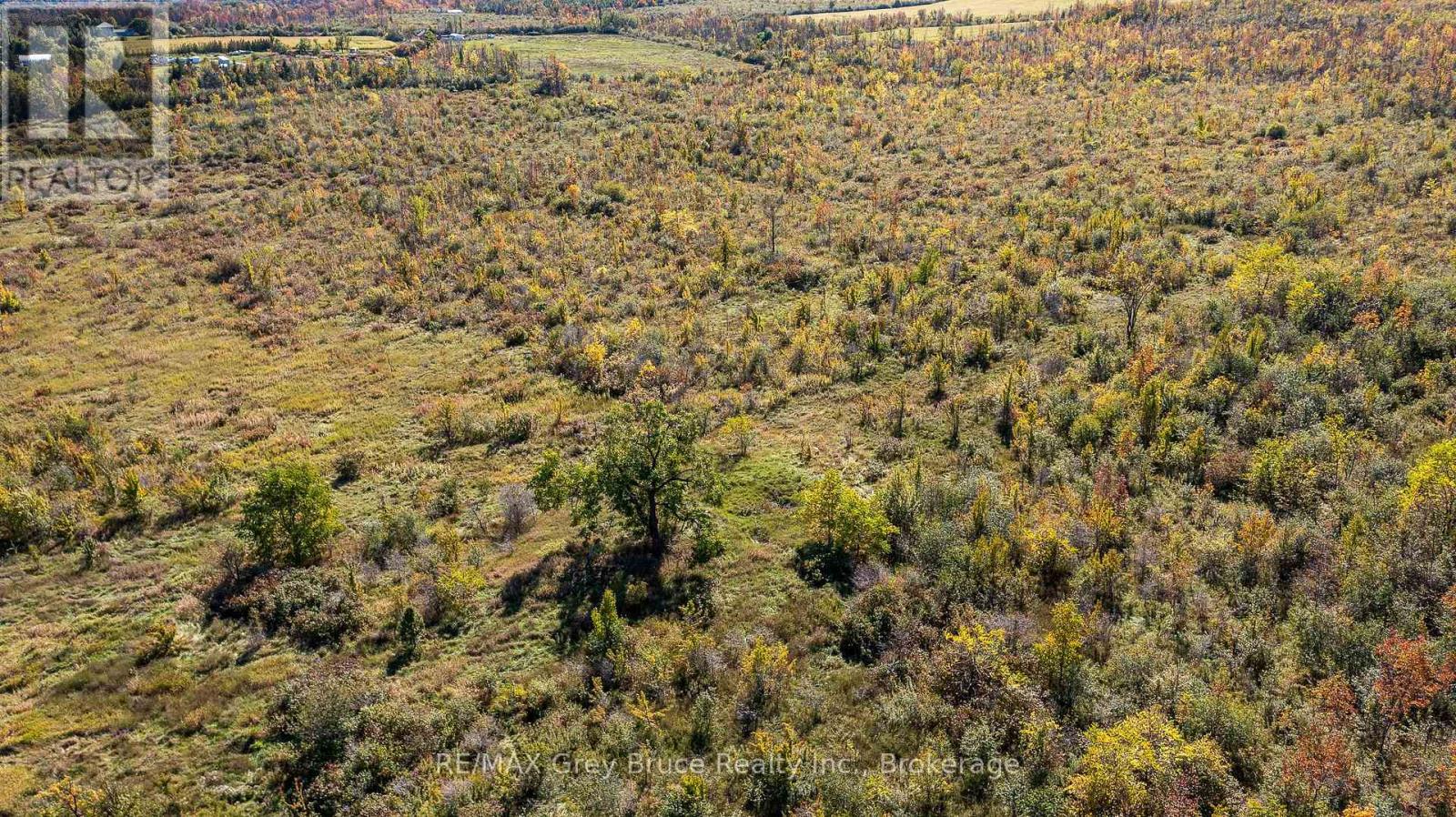 138558 Grey Rd 112 N, Meaford, Ontario  N4L 1W5 - Photo 11 - X12767700