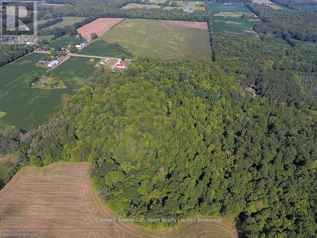 141 24 Highway E, Norfolk, Ontario  N0E 1P0 - Photo 44 - X12643098