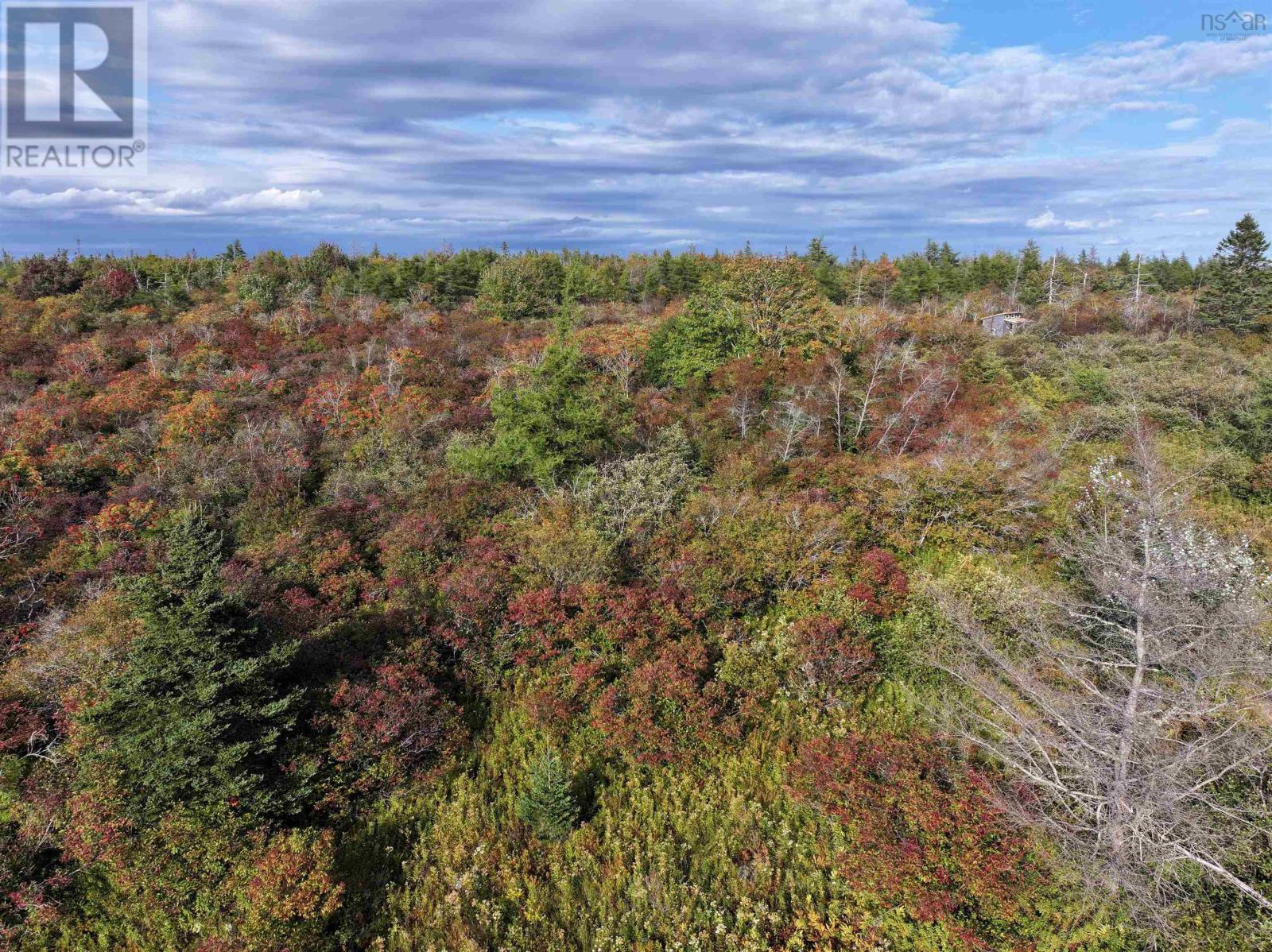 Lot 1 Goldenville Road, Goldenville, Nova Scotia  B0J 0B3 - Photo 9 - 202526705