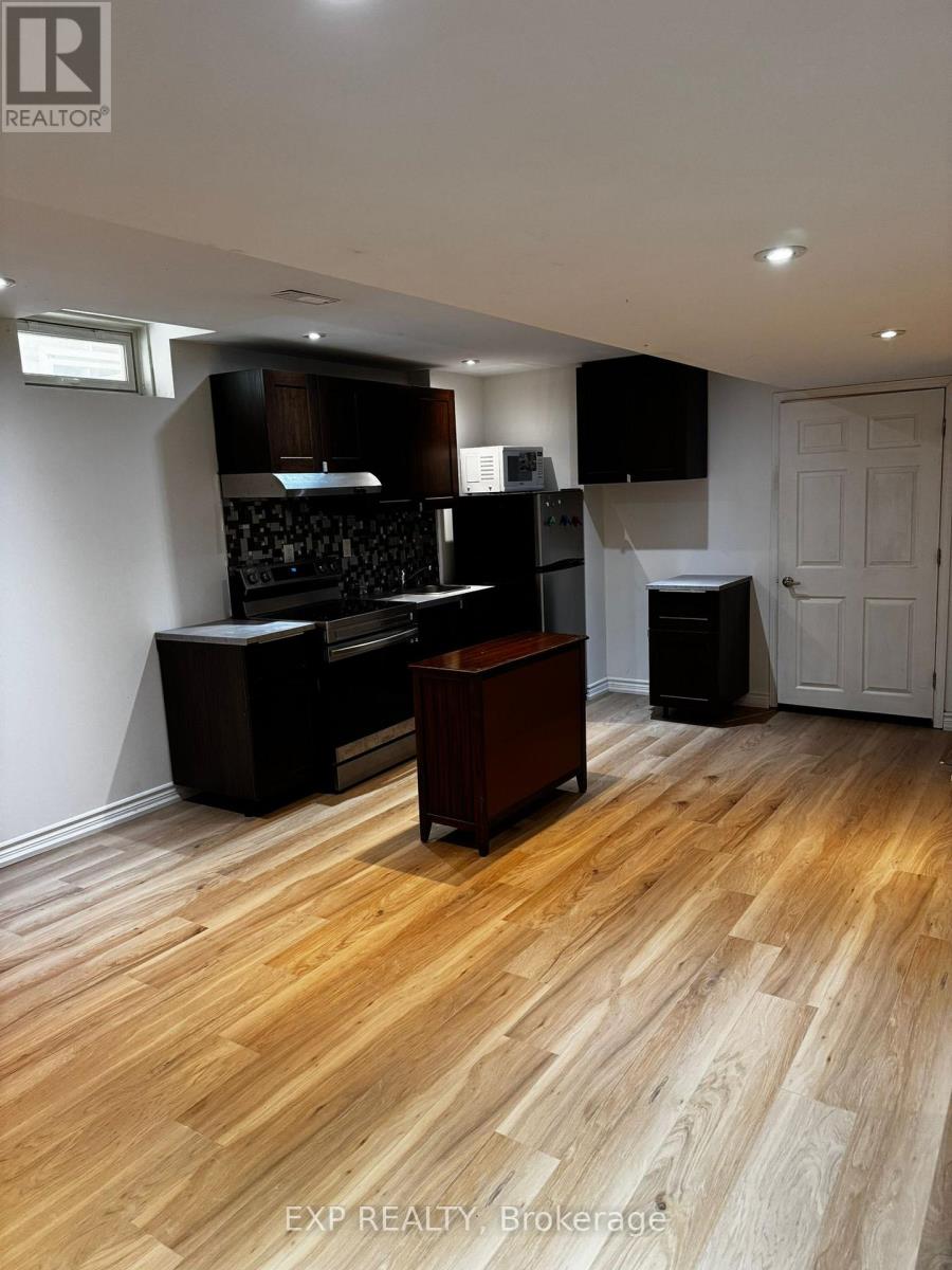 Basement - 16 Wellspring Avenue, Richmond Hill, Ontario  L4E 4Z6 - Photo 6 - N12767718