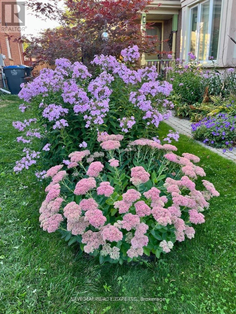 13 Pressed Brick Drive, Brampton, Ontario  L6V 4K8 - Photo 43 - W12767652