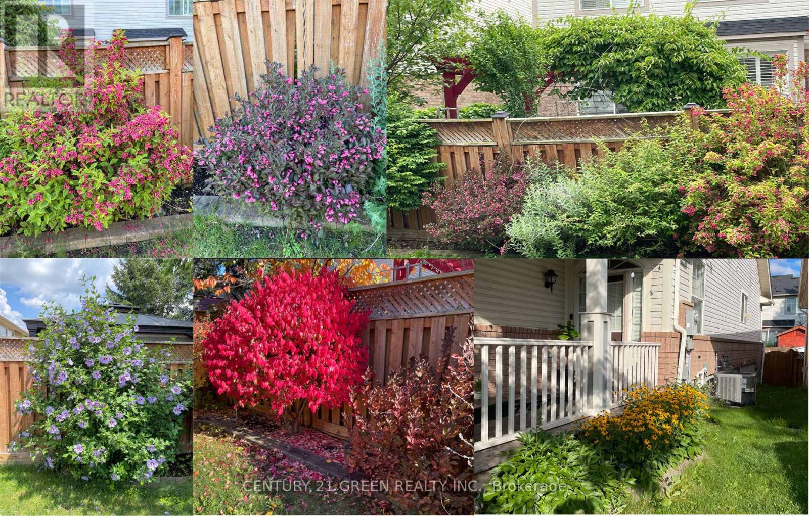 1666 Allan Crescent, Milton, Ontario  L9T 5Z6 - Photo 47 - W12767814